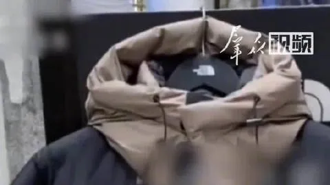 破解算法困境：新就业形态法规发布，助数千万人才突破束缚